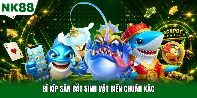 Bí kíp săn bắt sinh vật biển chuẩn xác